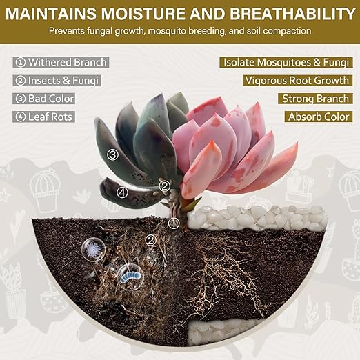 NUPICK 12 lbs Pebbles for Indoor Plants, 3/8 Inch Pea Gravel for Fish Tank, Polished Decorative Rocks for Succulent, Natural River Stones for Vases, Cactus, Landscaping, Bird Bath, Aquarium, White