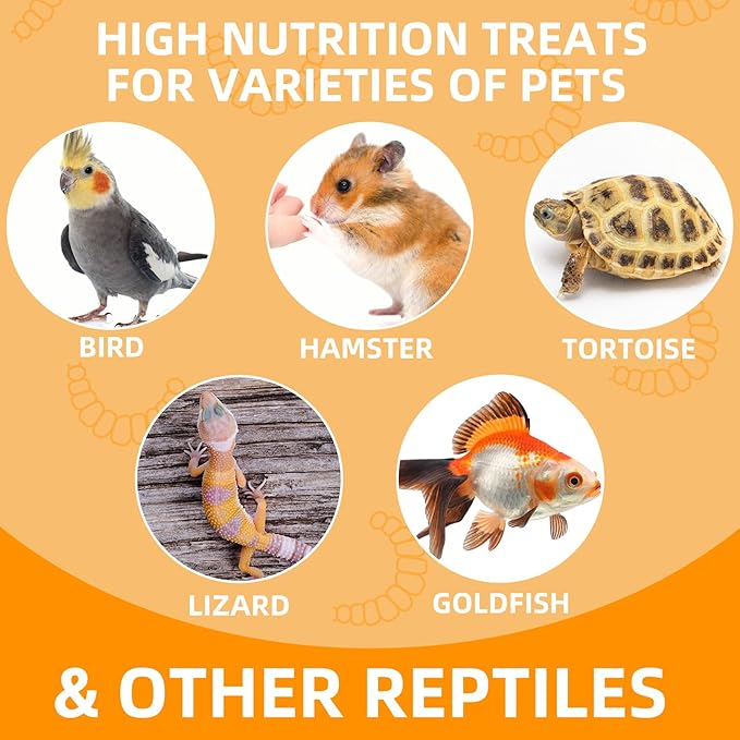 6 Pack Canned Mealworms for Reptiles, Fish, Birds and Small Animals, Meal Worms, Healthy High Protein Treat, Reptile Bird Fish Food 7.2 Ounces Total