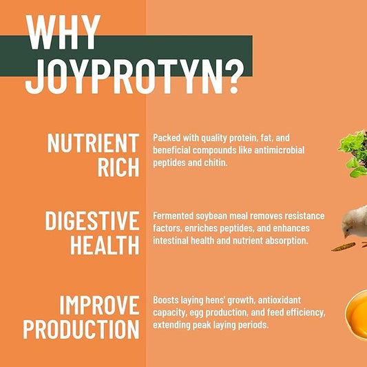 10LB Non-GMO Dried Black Soldier Fly Larvae for Chicken – 85X More Calcium Grubs Than Mealworms for Strong Eggshells & Healthy Growth - High Protein for Chickens, Birds, Ducks, Geese & Pets