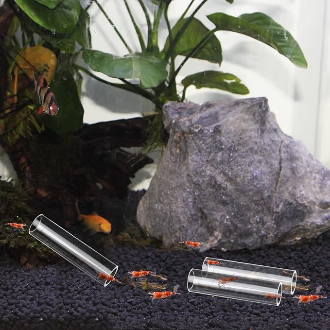 WEAVERBIRD 3-Tube Fish Shrimp Feeder - Acrylic Transparent Breeding Tube & Shelter for Aquarium Fish Tank Decorations