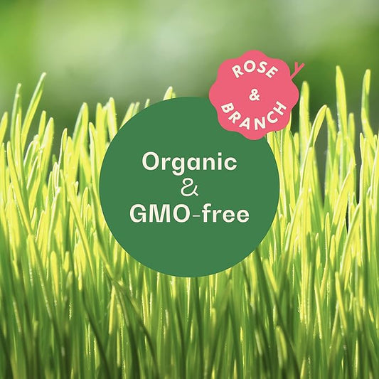 Rose & Branch Organic Wheat Grass Seeds - Cat Grass Seeds - 16Ounces - 100% Organic Non-GMO - Hard Red Wheat - Harvested in USA - Easy to Grow