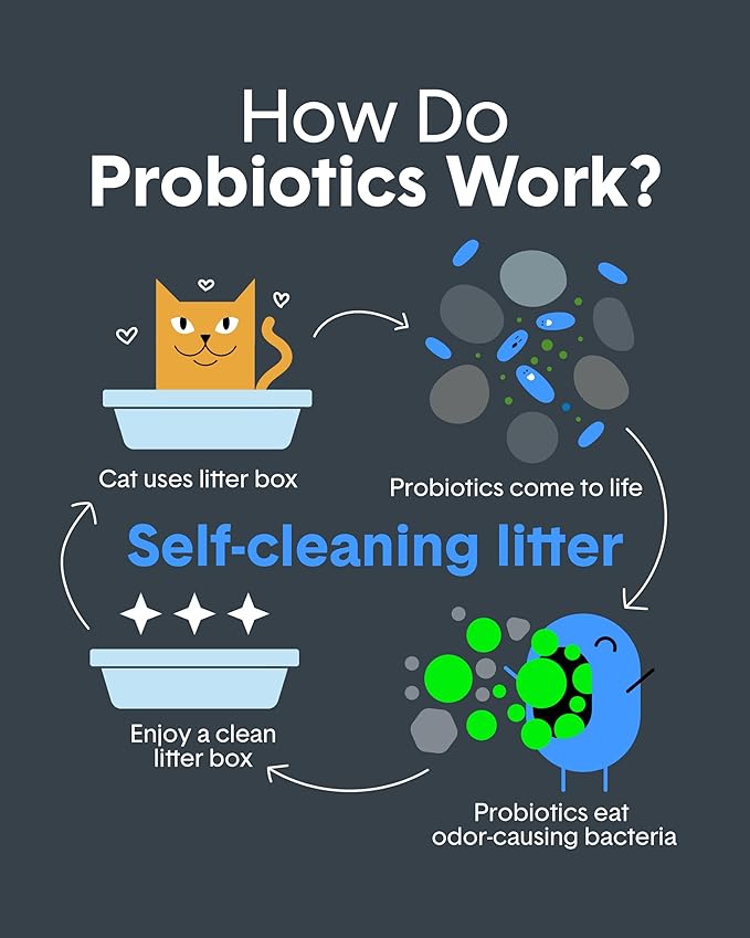 Boxie Probiotic Cat Litter, 30 Day Odor Control, Clumping Clay Kitty Litter, Odor Eliminating Probiotics, Dust-Free, No Fragrances No Fillers, 40 lb