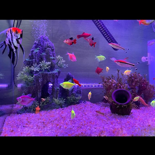 Large Fish Tank Decoration, Rock Mountain View Aquarium Decoration, Tree House cave, Fighting Fish, Shrimp, Hermit Crab, Relaxation and Play, Perfect Hiding in The cave