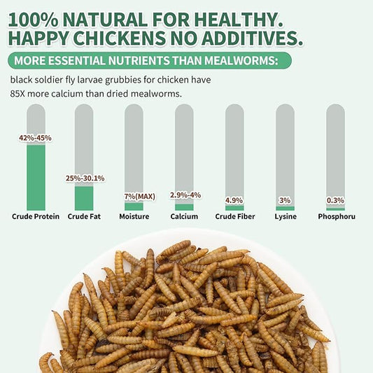 High Calcium, Non-GMO, 5LB Dried Black Soldier Fly Larvae for Chickens, 60-100X More Calcium Than Mealworms,Treat for Laying Hen, Ducks, Wild Birds,Turtles