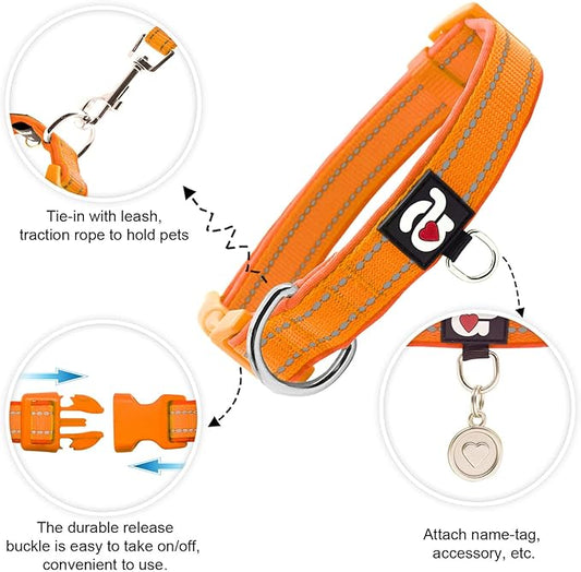 azuza Reflective Dog Collar, Soft Neoprene Padded Pet Collar with ID Tag Ring, Adjustable for Large Dogs,Orange,L