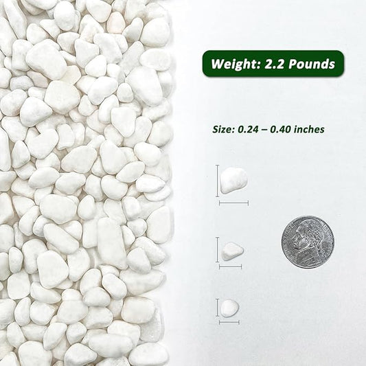 BXI 2.2 Lbs Small Aquarium Substrate Gravel Sand, Polished Smooth Fish Tank Gravel, Colorfast Uncoated White Natural Pebbles, Decorative Stones for Vase Fillers, Fairy Garden, Potted Plants
