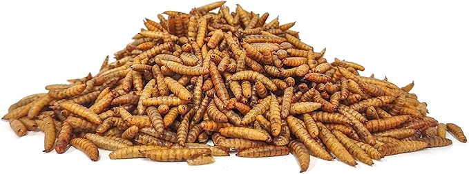 Premium Chicken Treats 5LB - Non-GMO & 85X More Calcium Than Meal Worms - Molting & Laying Supplement - BSF Larvae Treats for Layer Hens, Ducks Wild Birds
