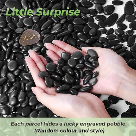 SIDONG 10 LB Black River Rocks, 0.3-0.5 Inches High Polished Pebbles for Indoor Plants, Aquarium Rocks Used in Fish Tank, Decorative Stones for Plants, Vases, Home Décor, Crafting, Garden Landscaping