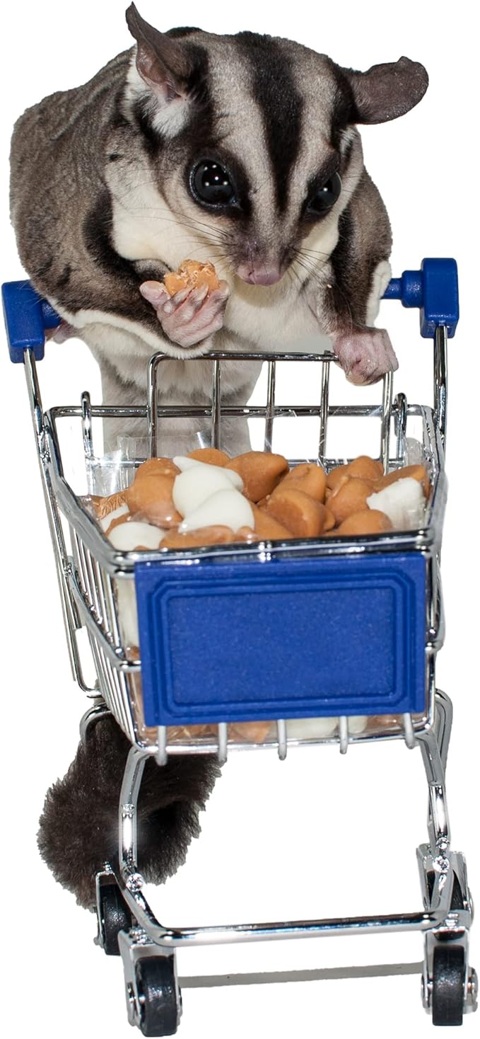 Yogurt Drops (3 lb.) - All Natural Healthy Yogurt Treat - for Sugar Gliders, Prairie Dogs, Monkeys, Squirrels, Guinea Pigs, Rabbits, Chinchillas, Rats, Marmosets, Degus & Other Small Pets