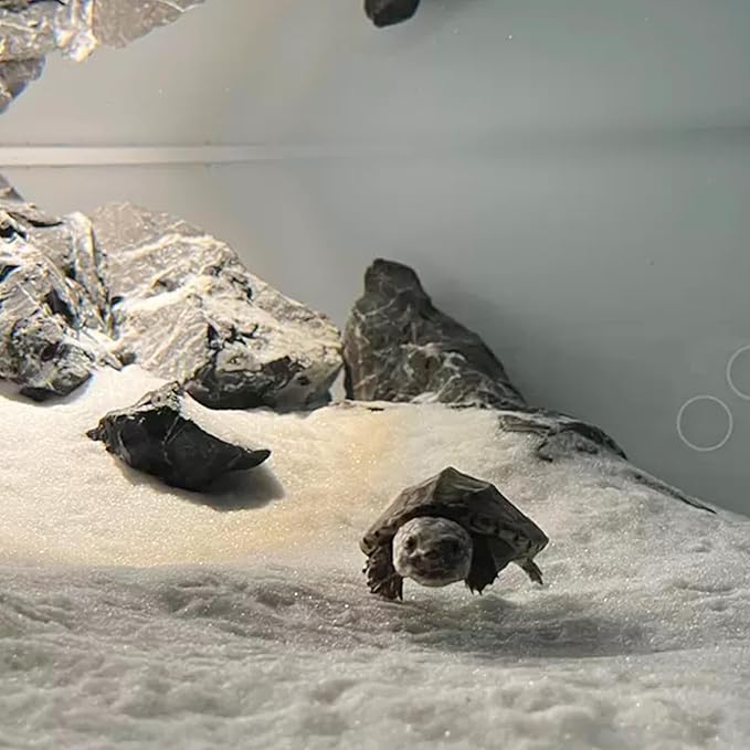 Aquarium Sand, 2lbs White Fish Tank Sand, Aquarium Gravel Substrate for Aquascaping, Vivariums, Terrariums, Plants and Crafts