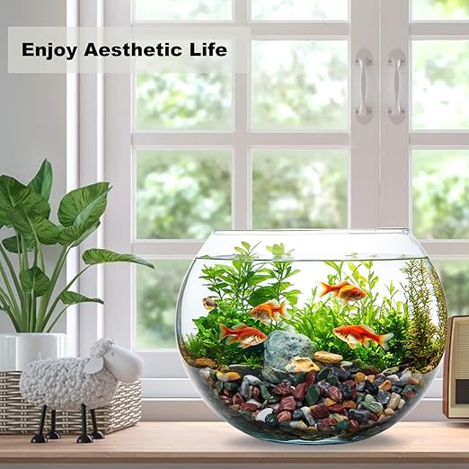 5LB Succulents Rocks for Plants Cactus Gravel Pebbles for Fish Tank 1/2 Inch Natural River Rocks for Vase, Aquarium, Landscaping,Bonsai,Terrarium Pebbles, Mixed Color