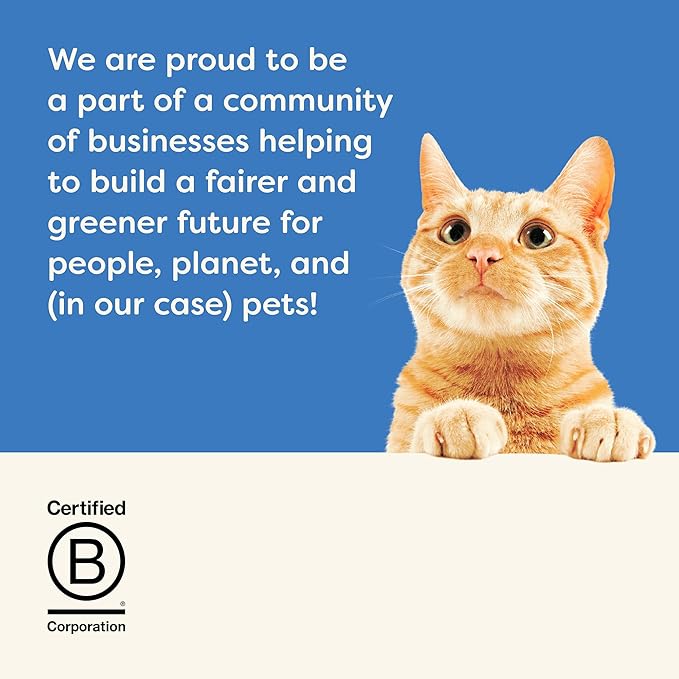 Applaws Natural Wet Cat Food in Gravy, Limited and Natural Ingredients, High Protein with No Artificial Additives, Tuna with Salmon in Gravy (12 x 2.47oz Pouches)