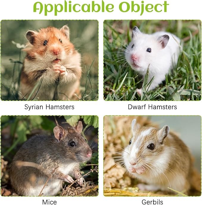 BNOSDM 3 in 1 Ceramic Hamster Hideout Hamster Food Bowl Hamster Water Bottle with Stand for Glass Tanks - Mushroom Shape Hamster Cage Accessories Cool Hides for Dwarf Syrian Mice Gerbils (Red)