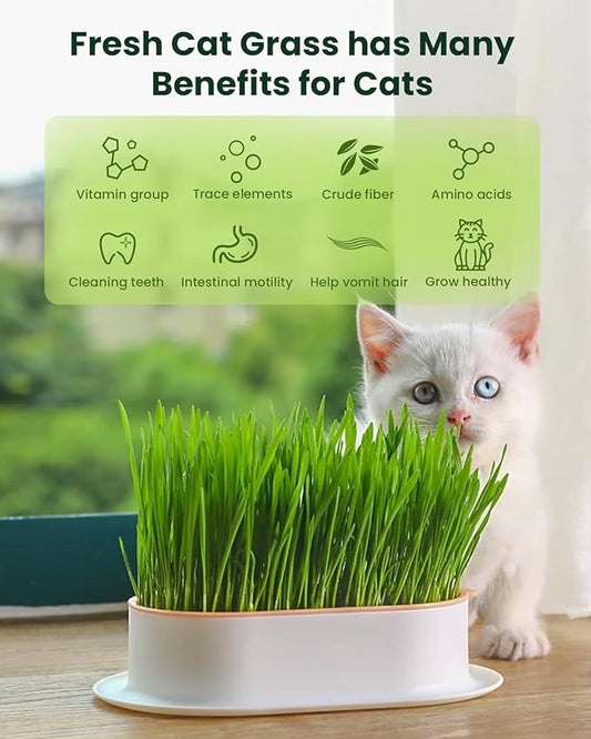 Cat Grass Kit for Indoor Cats - 3 Pack | Organic Wheat Grass Seeds, Grows in 7 Days | Digestive Health & Reduces Hairball | Gift for Cat Lovers with BPA-Free Planters, Soil & Non-GMO Seeds