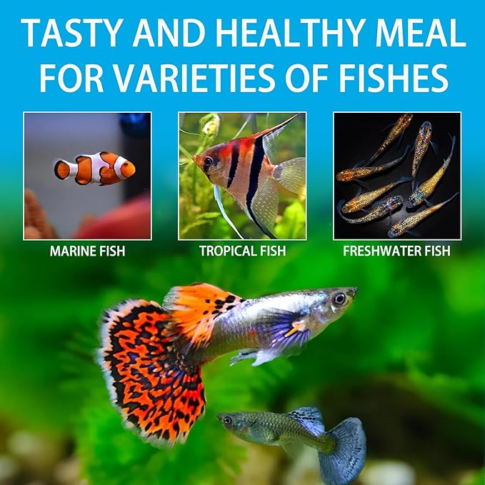Brine Shrimp Fish Food, Ready to Use Aquarium Fish Food, Non-Living Instant Baby brine Shrimp, Food for Betta Saltwater Marine Freshwater Fish (Adult Brine Shrimp)