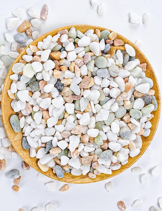 TOYPOPOR Mixed Color Decorative Rocks Stones Pebbles for Plants Garden Gravel White Rocks with Yellow, Green Pastel Accents Vase Fillers Natural Stone Top Dressing for Potted Plants Succulents 6 lbs