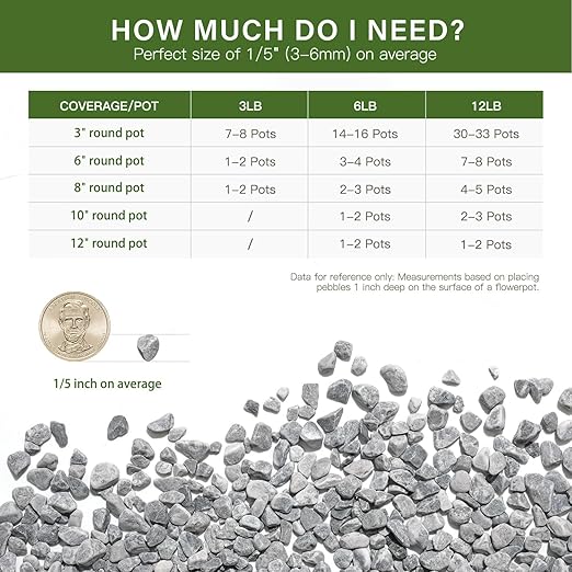 NUPICK 6 lbs Pebbles for Indoor Plants, 1/5 Inch Pea Gravel for Fish Tank, Decorative Rocks for Succulent, Natural River Stones for Vases, Cactus, Landscaping, Bird Bath, Aquarium, Grey