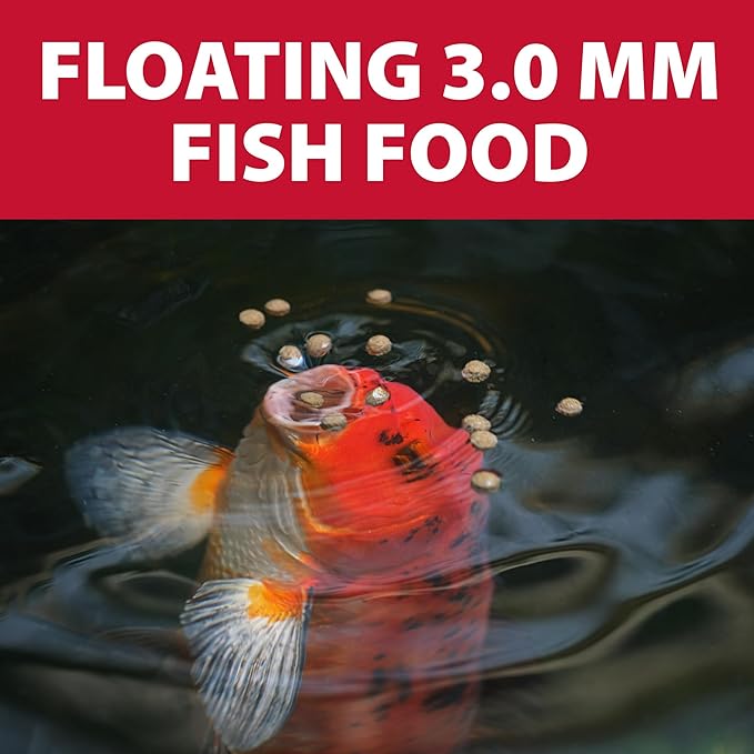 The Pond Guy Staple Fish Food for Backyard Koi & Goldfish, Choice Floating Pellets for Fish Wellness & Health, Smart Nutrition for Clean Ponds, 2 lbs