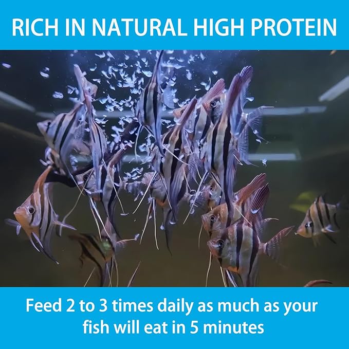 Brine Shrimp Fish Food, Ready to Use Aquarium Fish Food, Non-Living Instant Baby brine Shrimp, Food for Betta Saltwater Marine Freshwater Fish (Adult Brine Shrimp)