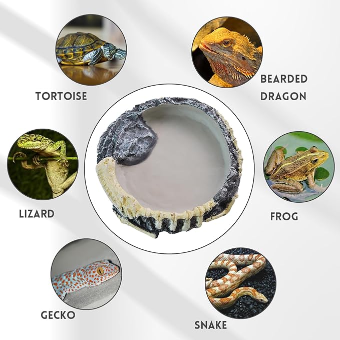 Reptile Food Water Bowl Resin Rock Gecko Feeding Dish Tortoise Feeder Food and Water Plate Amphibian Drinking Basin Reptile Habitat Tank Accessories for Turtle Lizard Leopard Gecko Chameleon