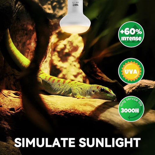 LUCKY HERP Intense Heat Lamp Bulbs for Reptiles 50W 2 Pack, UVA Daylight Reptile Heat Lamp, Reptile Basking Heat Light Bulb for Amphibian, Tortoise, Bearded Dragon, Lizard, Turtle, Snake Heating Use