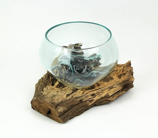 Things2Die4 Blown Melted Glass Decorative Bowl Mini Terrarium On Teak Driftwood Base,Brown