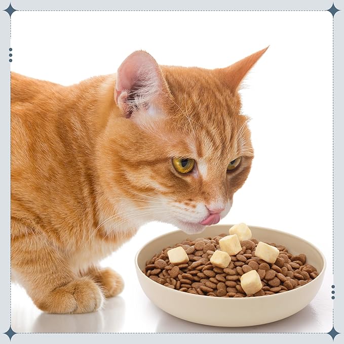 Tioncy 24 Pcs Fatigue Relief Cat Bowl 5.5 Inch Shallow Cat Food Dish Wide and Small Pet Wet Plate Wide Stray Wet Feeding Bowl for Ferrets Feral Short Legged Kitten, Wheat Straw(Pink, Beige,Classic)