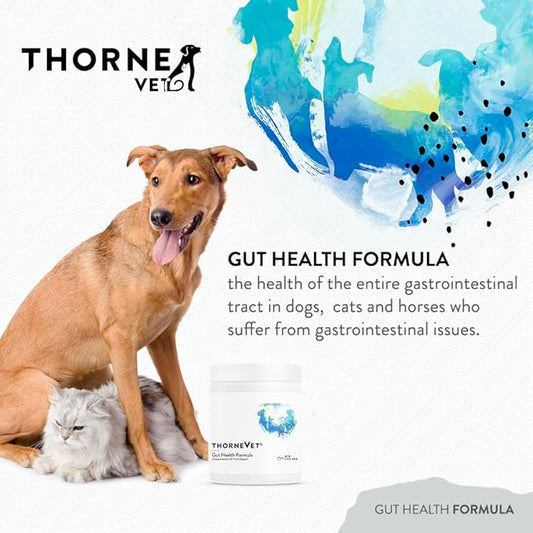 ThorneVET Gut Health Formula – Gastrointestinal Support for Dogs, Cats & Horses, 180 Scoops