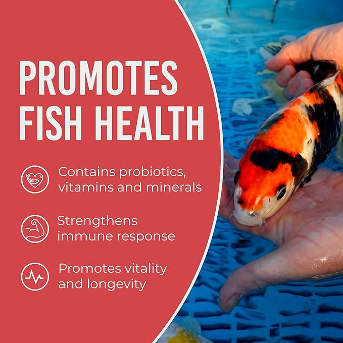 Blue Ridge Koi Fish Food 2lb - Cool Water Wheat 3/16", Fall and Winter Floating Pond Pellets, Ponds Fish Food