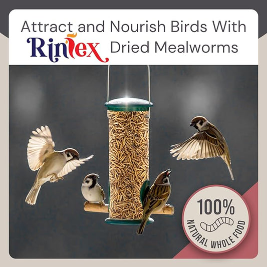 Dried Mealworms 8 oz - High Protein Food - Non Gmo Mealworms - Chicken Treats for Laying Hens - Dried Mealworms for Hamsters , Bluebird Feed, Reptile Food, Turtle Food, Hedgehog Food, Squirrel Food