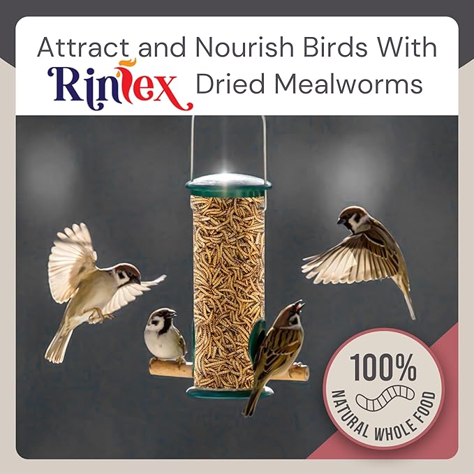 Dried Mealworms 5 lbs - More Protein Than Black Soldier Fly Larvae for Chickens (BSFL) - Wild Bird Seed for Outside Feeders - Woodpecker Food - Parrot Treats - Dried Worms for Chicken