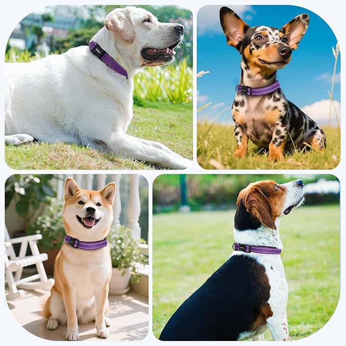 Reflective Dog Collar with Soft Padding Dog Collar for Medium & Small Dogs, No Pull, Heavy Duty, Adjustable Nylon Collar with Quick-Release Buckle, Walking Training Purple-S