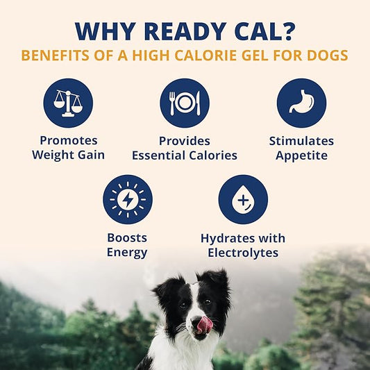 Under the Weather Pet Electrolytes Ready Cal Plus Gel for Dogs | Vet-Formulated High-Calorie Supplement for Dog & Puppy | Provides Essential Calories & Promotes Weight Gain | 3.5 Oz Tube Pack