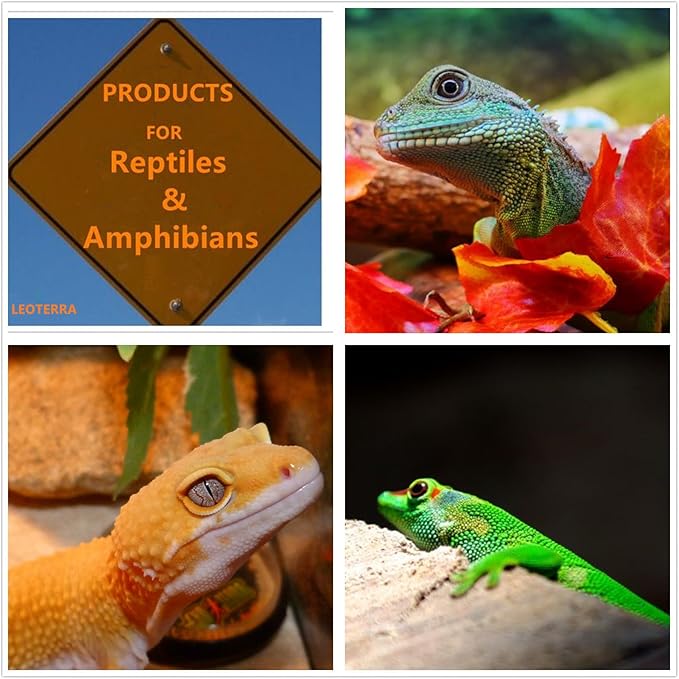 Leoterra 75W Reptile Incandescent Night Black Heat Lamp and 75w UVA Daylight Heat Lamp Combo Pack E26 Base 110v Long Service Life for Lizard Bearded Dragon Chicken Coop,Dog House Use…