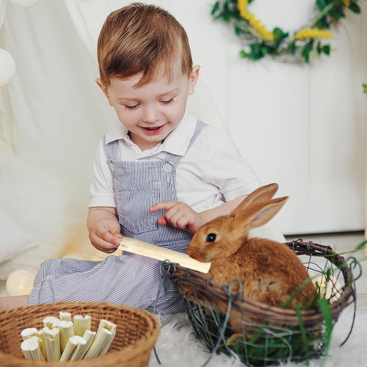 Sofier 300g Sweet Bamboo Chew Sticks for Rabbit, Bunny, Guinea Pig, Hamster - Natural Handmade Treats and Chews for Teeth - Chinchilla, Rat, Gerbil Toys