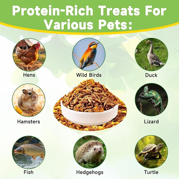 1LB Dried Black Soldier Fly Larvae Treat for Chicken, 100% Natural Non-GMO More Calcium Than Dried Mealworms High Protein Chicken Feed for Birds, Ducks, Layer Hens