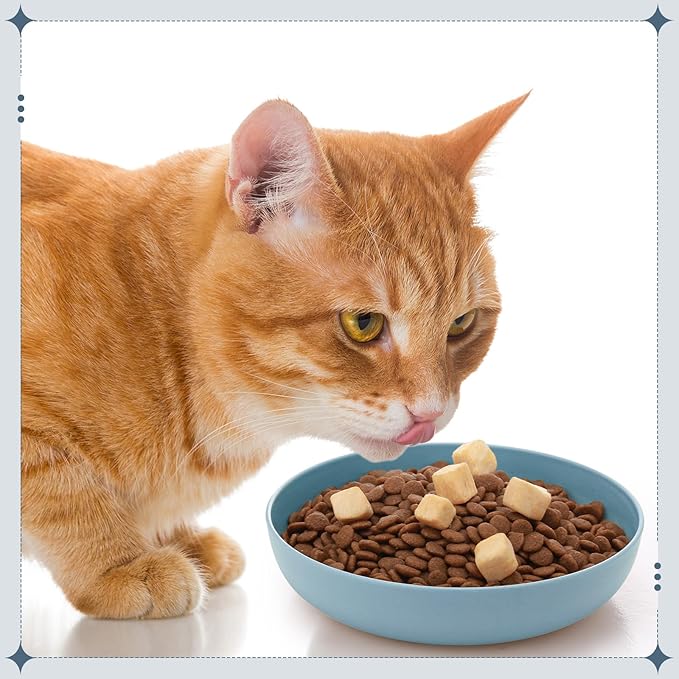 Tioncy 24 Pcs Fatigue Relief Cat Bowl 5.5 Inch Shallow Cat Food Dish Wide and Small Pet Wet Plate Wide Stray Wet Feeding Bowl for Ferrets Feral Short Legged Kitten, Wheat Straw(Three Color,Classic)