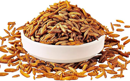 1LB Dried Black Soldier Fly Larvae Treat for Chicken, 100% Natural Non-GMO More Calcium Than Dried Mealworms High Protein Chicken Feed for Birds, Ducks, Layer Hens