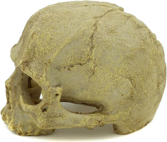 JIHAQUA Aquarium Resin Skull, Reptile Tank Accessories Ornament Basking Snake Hide Decor Habitat