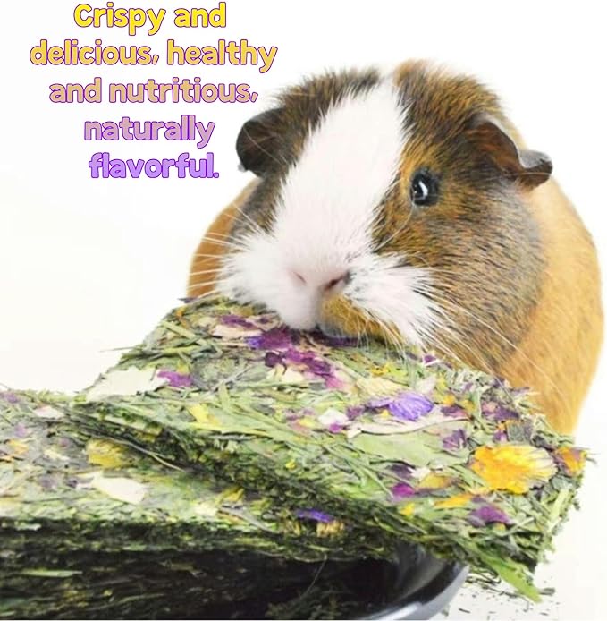 Bunny Toys 20 Pieces Chew Toys Teether Totoro Dutch Pig Guinea Pig with Flower Timothy Grass Snack (Large)