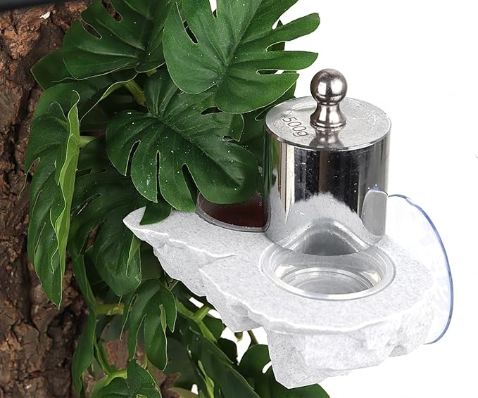 Crested Gecko Feeding Ledge with 10Pcs 0.5oz Food Dish Feeder Bowls