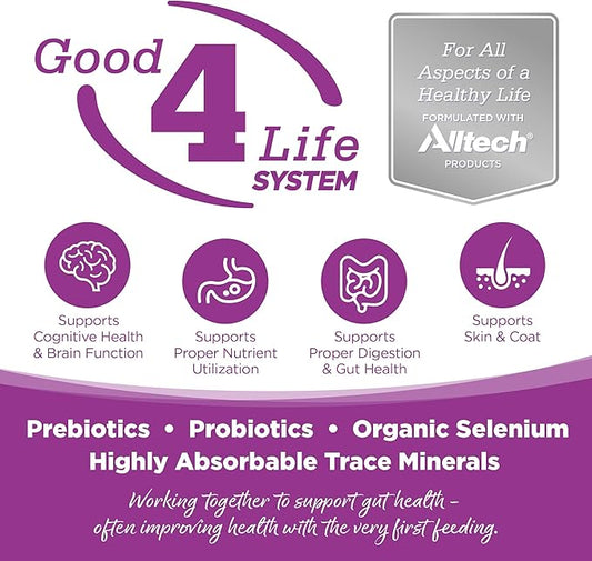 NutriSource Puppy Food for Large Breeds, Chicken and Rice, 4LB