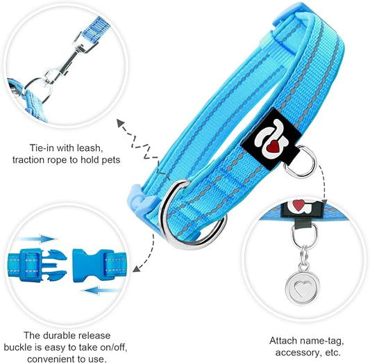 azuza Reflective Dog Collar,Soft Neoprene Padded Pet Collar with ID Tag Ring,Adjustable for Puppy and Small Dogs,Sky Blue,XS