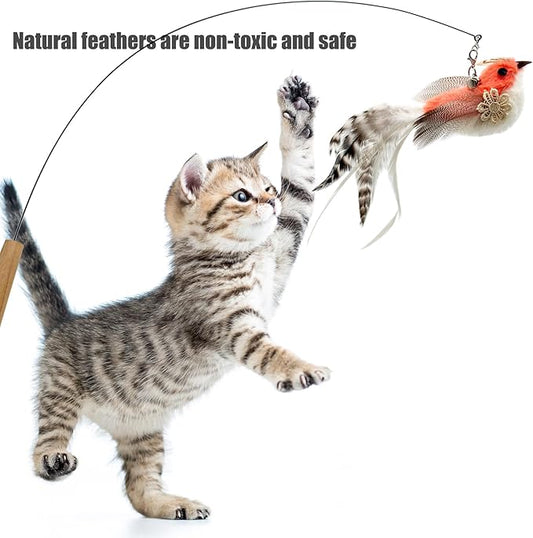 Cat Wand Toy, 6 Pieces Interactive Cat Wand Bird Feather Toys for Indoor Cats Play Exercise