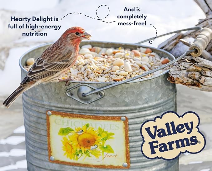 Valley Farms Hearty Delight 4 LB 2-Pack (8 LB Total) Wild Bird Food for Outside Feeders, No-Mess Wild Bird Seed with Sunflower Hearts & Peanut Kernels, No Fillers, Perfect for Outdoor Patios