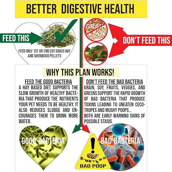 Sherwood Pet Health Adult Rabbit Food Timothy Hay MeasuredPellet 20 lbs. Hay-Based, Grain-Free, Soy-Free for Better Digestion