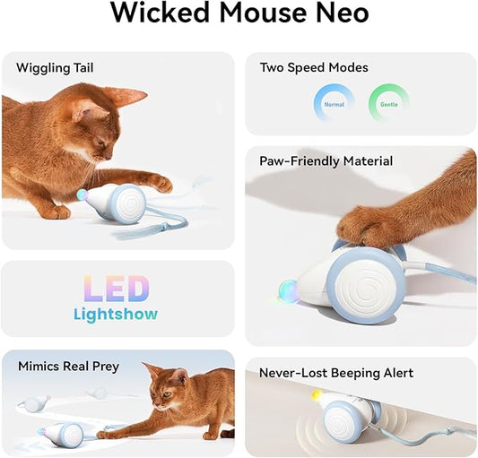Cheerble Interactive Cat Toys for Indoor Cats, Automatic Moving Kitten Toys, Wicked Mouse Neo Cat Toy with Tail & Lights, Pet Cat Supplies, Rechargeable Cat Toys for Bored Indoor Adult Cats,Blue
