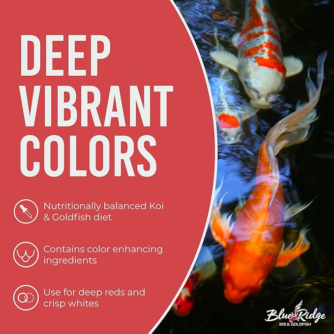 Blue Ridge Koi Fish Food 2lb - Cool Water Wheat 3/16", Fall and Winter Floating Pond Pellets, Ponds Fish Food