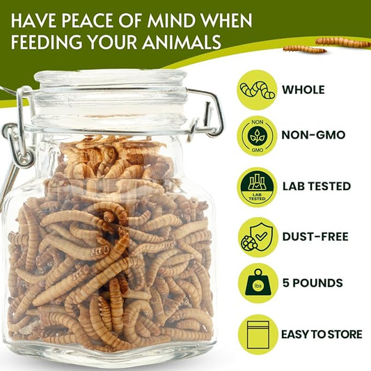 Dried Mealworms 100% Non-GMO 5 Lb - Mealworms for Birds, Chickens, Ducks - Perfect High-Protein Treats - Whole Large Meal Worms, Dried for Chickens and Bluebird Food Bulk