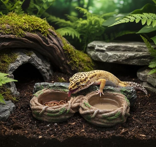 Magnetic Reptile Feeding Ledge, Gecko Feeder Ledge with One Piece Cup, Hollow Vine Food Dish, Reptile Water Bowl for Bearded Dragon Lizard Snake